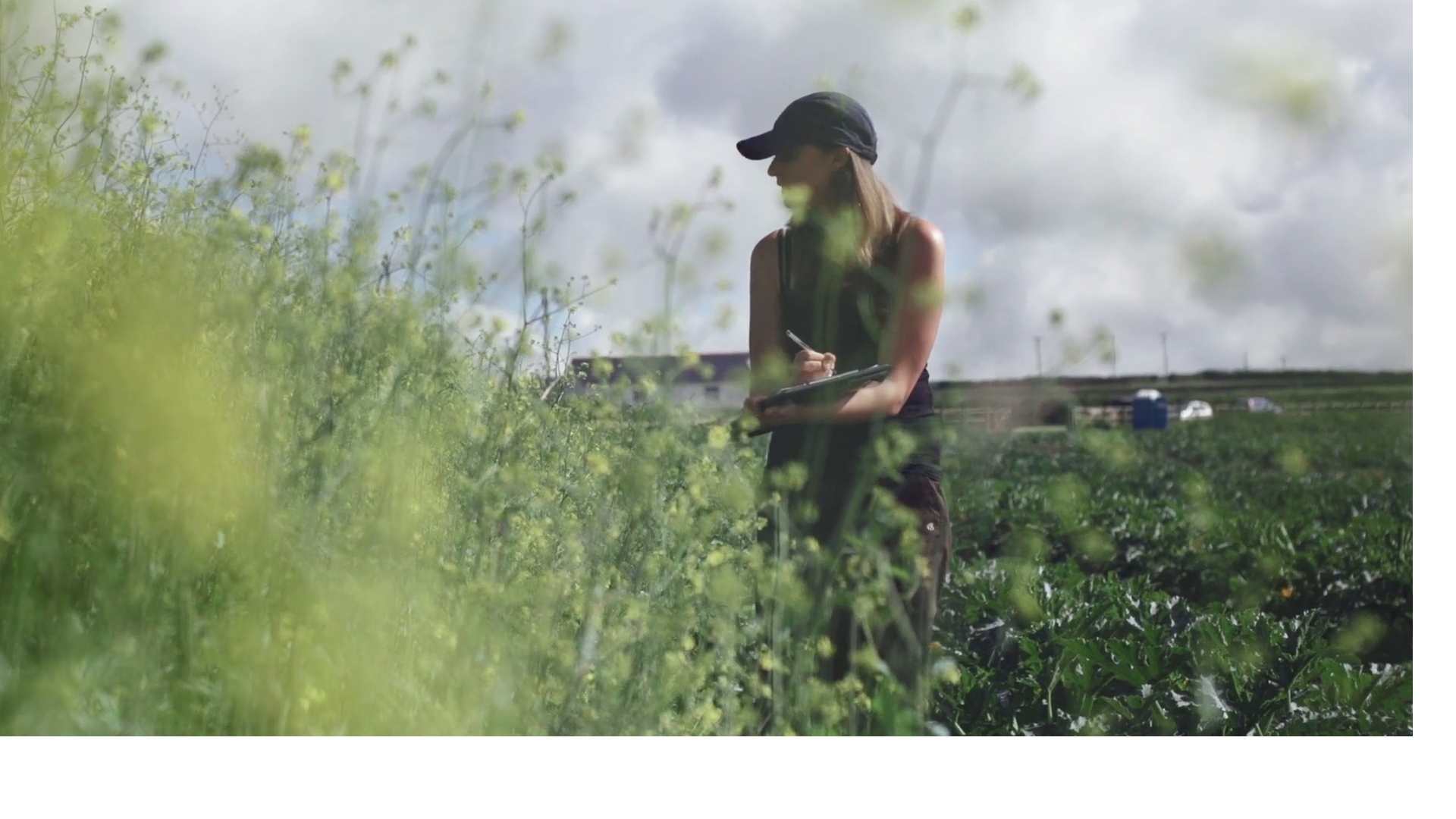 a person standing in a field of plants